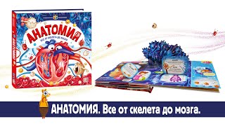 Интерактивная энциклопедия. Анатомия