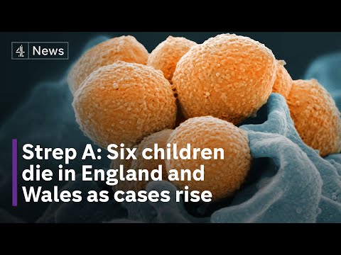 Six children deaths in England and Wales since September as Strep A cases rise