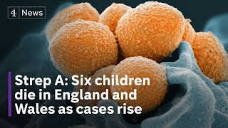 Six children deaths in England and Wales since September as Strep A cases rise Six children deaths in England and Wales since September as Strep A cases rise