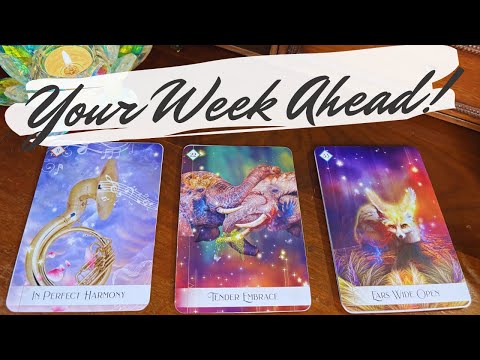 The Next 7 Days! 🔮 pick a card weekly tarot reading