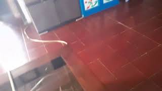 Download lagu nadar dering cuit cuit ada pemberi tahuan dari lazada mp3 Download lagu nadar dering cuit cuit ada pemberi tahuan dari lazada mp3