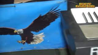 Download lagu #KACANG LUPA KULIT#Rombongan Mepelai Wanita #OM.RAJAWALI MUSIC#Gasing. mp3