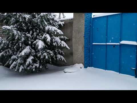 Снег в апреле 2020г. Благовещенск.