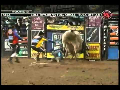 Cris shivers vs holy moly