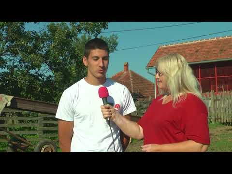 Razgovori pokraj puta - Takvu decu samo treba pozeleti - Obicaji Radjevine