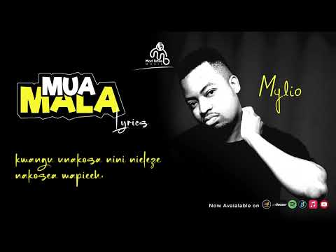 Amiry Milli -Muamala Official Lyrics Video