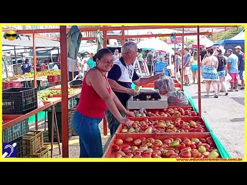 Tv Educativa passeia pela Feira Municipal da Avenida Sampaio Vidal de Marília SP 25 Agosto de 2.025