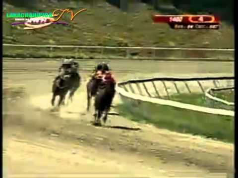 LA RINCONADA 4 CARRERA DOMINGO 24 DE AGOSTO DEL 2014