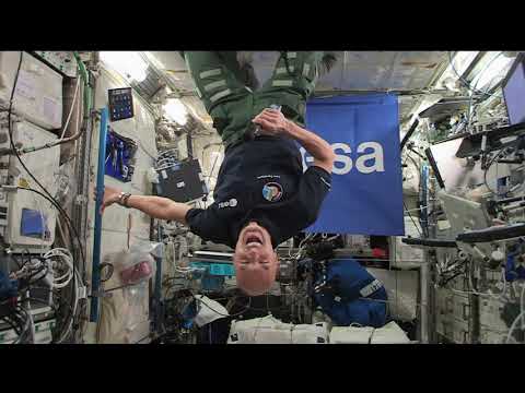 Expedition 60 ESA PAO Stockholm Culture Festival August 13, 2019