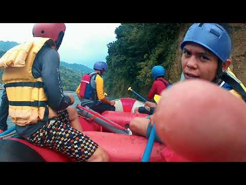 River of the red apes (sungai alas)