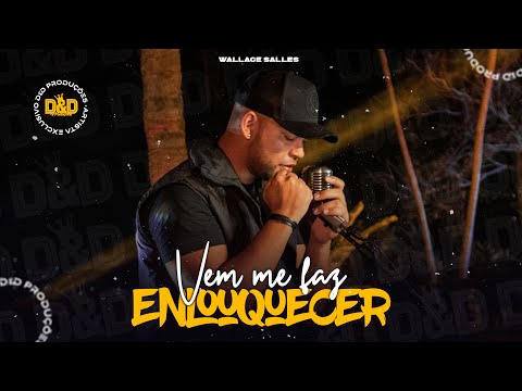 Wallace Salles - Vem me faz enlouquecer (DVD)
