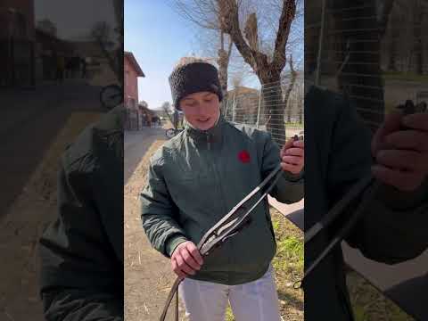 Pillole di Ippica - Trotto Montato