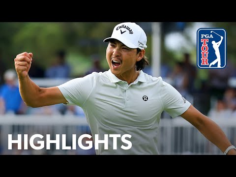 YouTube thumbnail for video