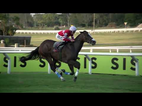 230212 c 08 - PRETTY DAY - HIPODROMO DE MAROÑAS - HANDICAP ESPECIAL ANDRES RAMPONI LORDA