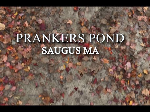 PRANKERS-POND FALL FOLIAGE BY DRONE 2023 SAUGUS MA