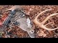 GIANT BUCK Missouri Bowhunting 2024