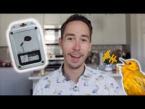 Haikubox Review: Elevate Your Birding with AI-Driven Bird Identification