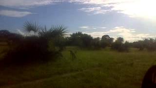 preview picture of video '1200 Acres agricultural land in KENYA AT RAMISI IN KWALE near KISCO'