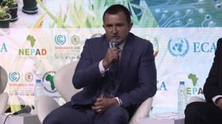 COP22: Yuri Obst, Baleen