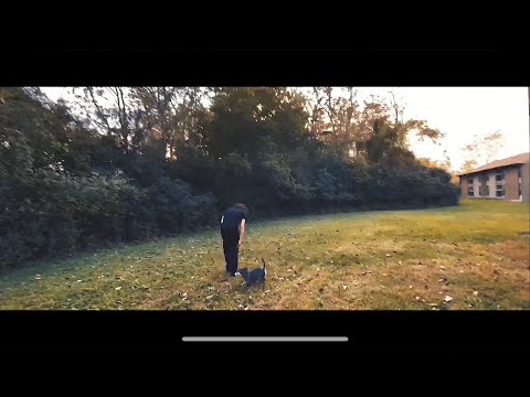 Video thumbnail for Back Up 3