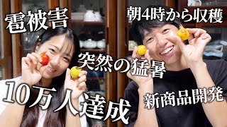 【感謝】2025年も生梅の発送が終了しました！兄妹で思い出を語ります