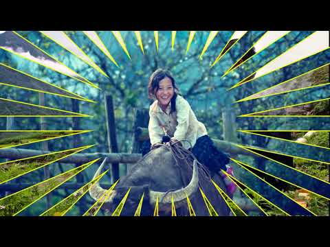 kuv txiv lub xim xos