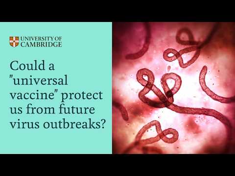 Could a "universal vaccine" protect us from future virus ...