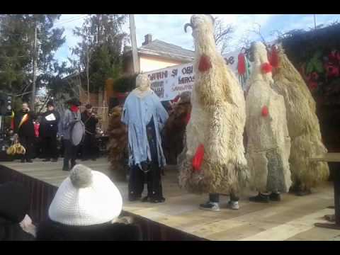 Traditii Miroslovesti