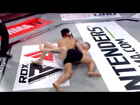 Stefano Catacoli AKA SliverineKiller MMA Fight