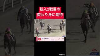 【叩き良化】転入初戦同様に2戦目もある意味期待値あるんですよね #競馬