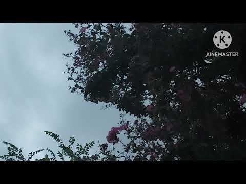 Moving Past Talking About Ebeggars And Such? 👄 Stay Tuned