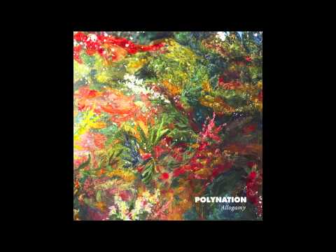 Polynation - Swell