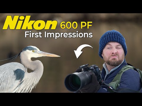 Nikon 600PF: I Shouldn’t Have Rushed My Tests