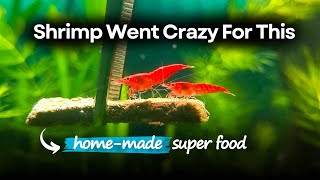 I Stopped Buying Fish Food After Making This || DIY Fish & Shrimp Food Recipe.