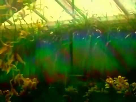 Key Moe Then Therapy