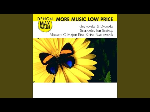 Serenade for String Orchestra in E Major, Op. 22