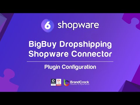 Shopware 6 Plugin : BigBuy Dropshipping Shopware Connector