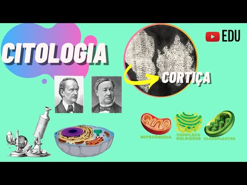 INTRODUCTION TO CYTOLOGY - CELL THEORY | ANIMATION