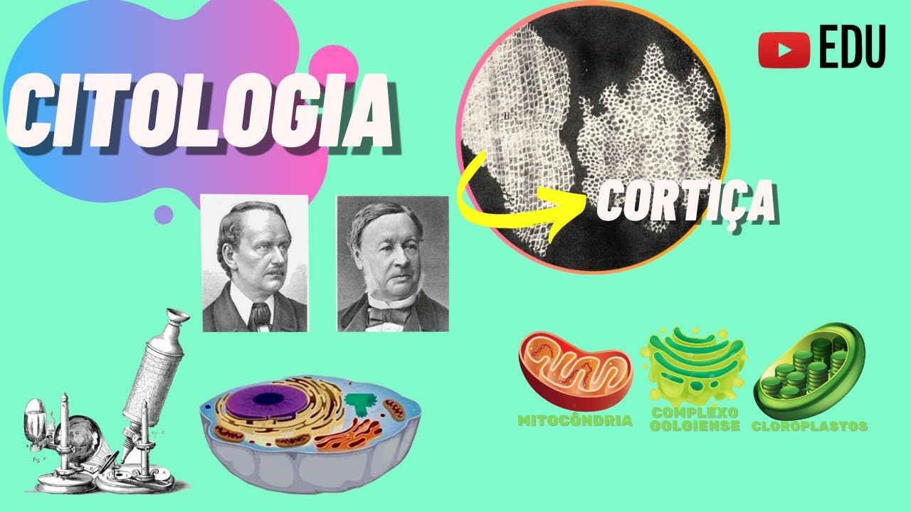 INTRODUÇÃO À CITOLOGIA - TEORIA CELULAR | ANIMAÇÃO