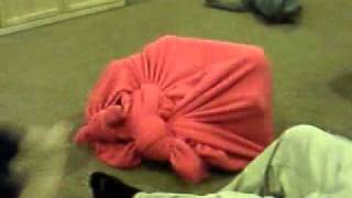 Download lagu little kid trapped in a blanket mp3