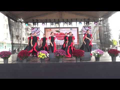 Târgul Mărului 2023 - Spectacol (7)