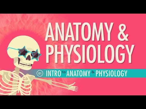 Introduction to Anatomy & Physiology: Crash Course Anatomy & Physiology #1