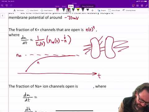 Hodgkin-Huxley Neuron Model