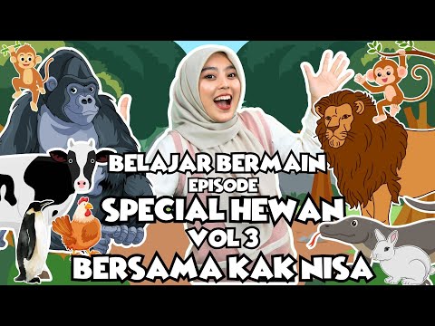 Belajar dan Bermain Spesial Hewan Vol 3 - Belajar Kata, Lagu Interaktif, Belajar Bicara Untuk Balita