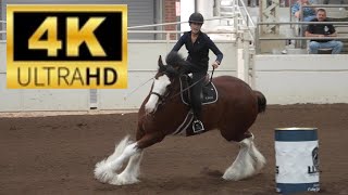 WORLD CLYDESDALE SHOW 2025 - BARREL RACING FINALS