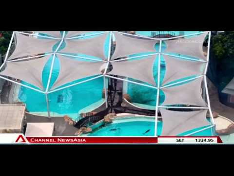 ACRES urges Resorts World Sentosa to release dolphins - 07Dec2012
