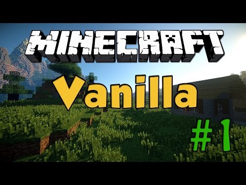 nuova serie?-MINECRAFT VANILLA #1