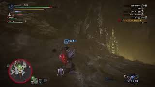 フリークエスト！【PS4MHW:ICEBORNE】実況、声無しです。