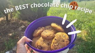 According to TikTok this is THE BEST chocolate chip cookie recipe // baking them for my neighbours