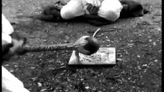 Goethes Erben Vorfilm "Einsam:Macht!"